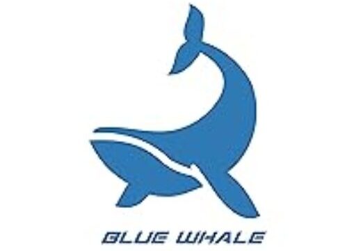 Blue Whale LOGO